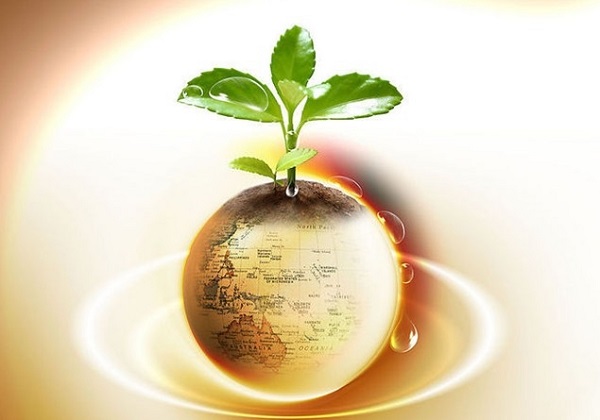 欧元反弹逼近1.1760 欧洲央行政策预期逆转